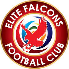 Elite Falcons FC